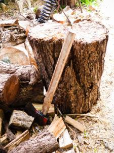 large tree removal