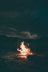 campfire firewood - brockley tree