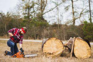tree removal regulations man cutting down tree - brockley tree