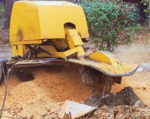 stump grinding machine